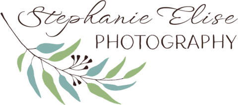 Stephanie Elise Photography logo